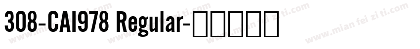 308-CAI978 Regular字体转换